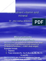 Micronutrient Vitamin and Mineral Tumbang