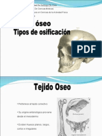 CT3 Tejido Oseo y Osificación