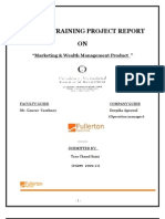 Summer Training Project Report ON: "Marketing & Wealth Management Product "