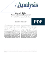 Property Rights: The Key To Economic Development, Cato Policy Analysis No. 482