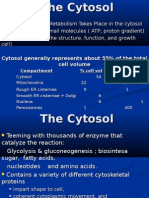 Cytosol 1