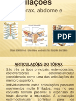 Slide Articulação