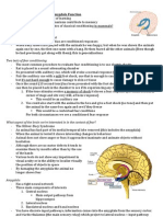 Amygdala Function