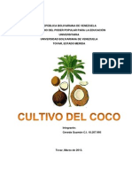 Cultivo de Coco