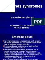 Syndrome Pleural