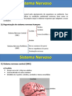 Sistema Nervoso