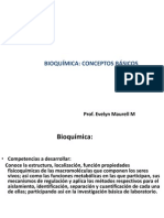 1.bioquimica Conceptos Basicos 2011