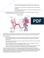 Fetal Circulation