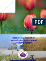 Resource Conservation Techniques in Rice Wheat Cropping System