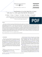 Regeneration and Transformation of An Elite Inbred Line of Maize (Zea Mays L.), With A Gene From Bacillus Thuringiensis