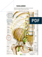 Plexo Lumbar