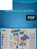 8 - Imunologi Infeksi