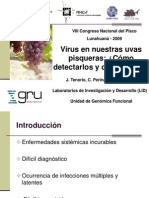 Virus en Uvas Pisqueras