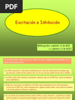 Excitacion e Inhibicion Neuronal