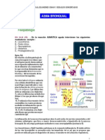 Asma Examen Enam Essalud Plus PDF