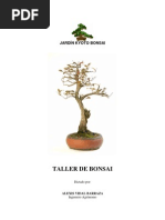 Taller Bonsai Jardin Kyoto