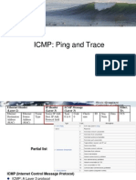 Ping and Trace Route