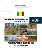 Production de Farine À Base de Mil Et de Sorgho