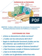 Bases Biológicas de La Psicología