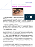 Conociendo Al Aedes Aegypti