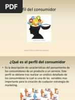 Perfil Del Consumidor