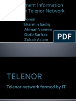 Telenor M.I.S