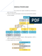 Sebenta Neuroanatomia Parte 2