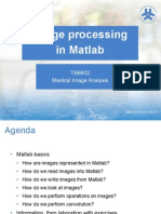 Image Processing in Matlab: TBMI02 Medical Image Analysis