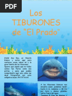 Tiburones