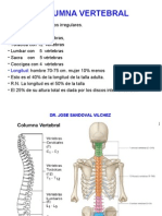 Columna Vertebral - DR - Sandoval