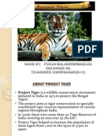 Tiger Project