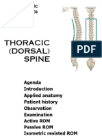 Thoracic (Dorsal) Spine