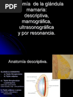 9.1 Anatomía de La Mama Descriptiva, Mamográfica, Por US y RM