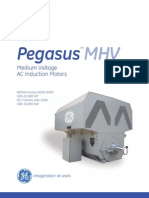 GE Pegasus MHV Motor