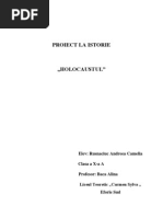 Proiect La Istorie Holocaust