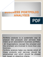 Business Portfolio Analysis