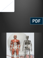 Tejido Osteoarticular