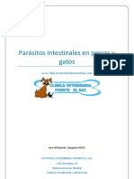 Parásitos Intestinales en Perros y Gatos