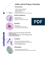 Cell Organelles and Its Primary Functions