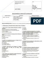 Prueba Diagnóstico Ciencias Naturales 7° Año