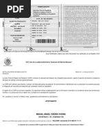 PDF Documento