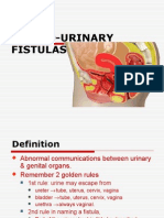 Genito-Urinary Fistula