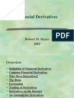 Financial Derivatives: Robert M. Hayes 2002