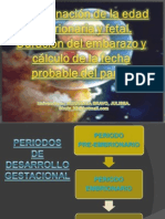 Determinacion de Edad Gestacional - Reglas para Hallarlo