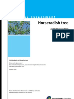 IPA Horseradish Tree Risk Assessment - Moringa PDF