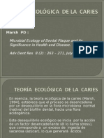 Teoria Ecologica de La Caries