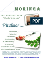 Catalogo Vitalmor Ultimo Energy