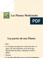 Las Plantas Medicinales