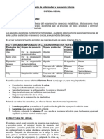 Guia 1 Sistema Renal