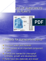 Transport of Substances in Plants